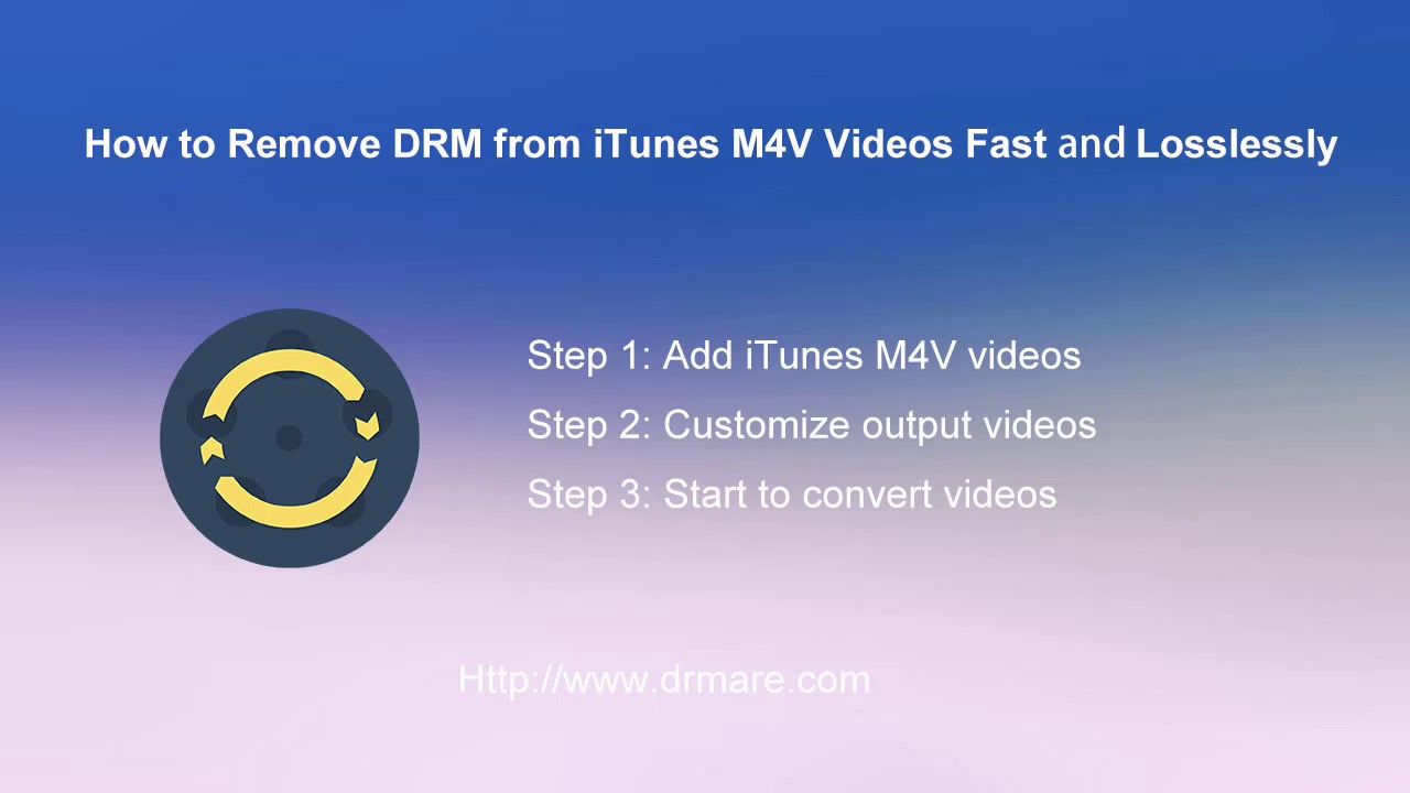 best drm removal programs